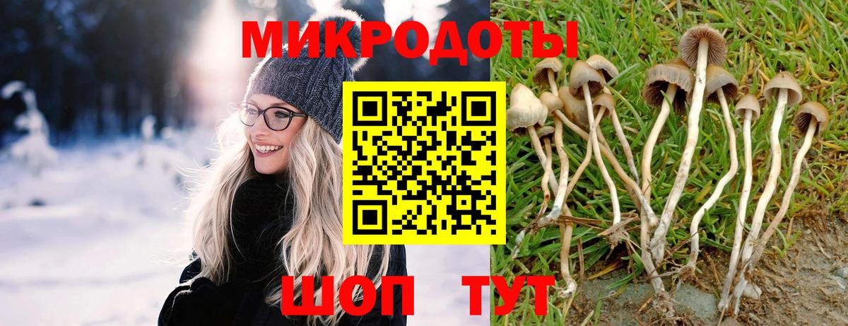 Нарьян-Мар  Псилоцибиновые грибы Cubensis  Вход с VPN 